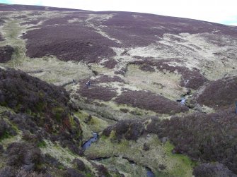 Logan Burn: enclosure and access track viewed from N