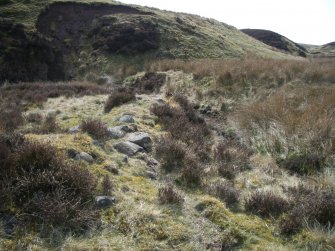 Logan Burn: enclosure wall viewed from W