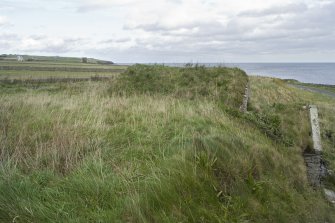 View looking across the turfed roof of the ice house, taken from W