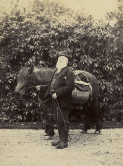 View of elderly man with a pony.