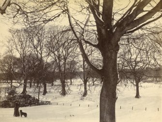 View of woman with dog in the grounds of St Fort House in winter.