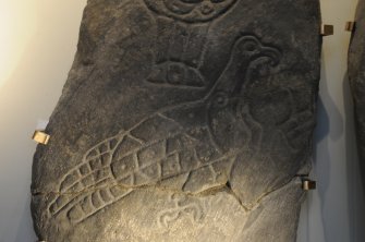 Detail of the eagle symbol, Inveravon Pictish Symbol Stone 1, relocated inside the church porch