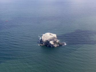 Oblique aerial view of the Bass Rock, taken from the WSW.