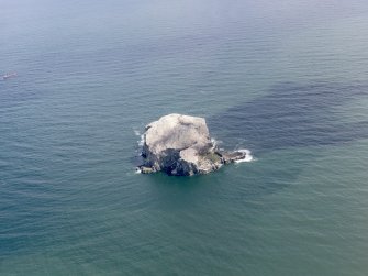 Oblique aerial view of the Bass Rock, taken from the SW.