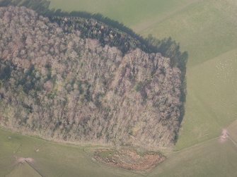Oblique aerial view of Jackschairs Wood, looking NE.