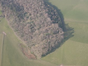 Oblique aerial view of Jackschairs Wood, looking N.