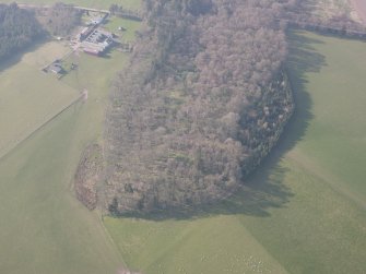Oblique aerial view of Jackschairs Wood with Nethholm farm beyond, looking NNW.