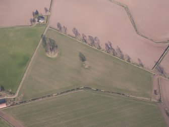 Oblique aerial view of the possible barrow and cairn, looking E.