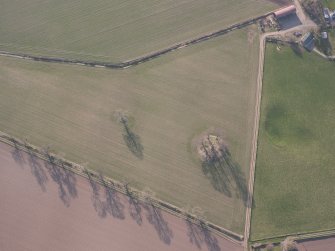 Oblique aerial view of the possible barrow and cairn, looking W.