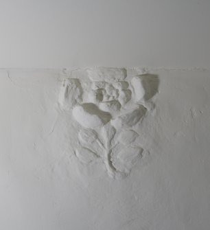 Interior, detail of plastermoulding truncated by new ceiling, upper ground floor, centre room, SW house.