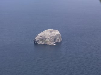 Oblique aerial view of the Bass Rock, taken from the SSE.