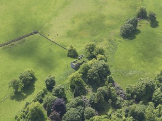 Oblique aerial view of Dowhill Castle, taken from the NE.