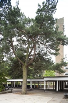 Covered paved area to Gilmore House and Clock Tower. View from NE.