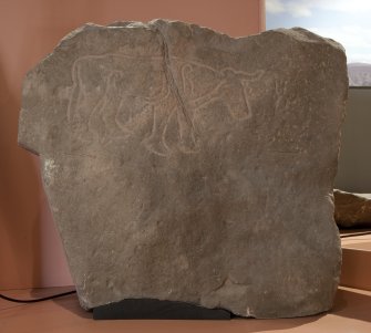 View of Pictish symbol stone fragment (available light)