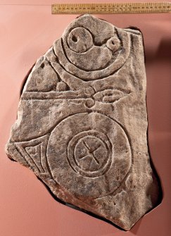 View of Pictish symbol stone fragment (flash), including scale