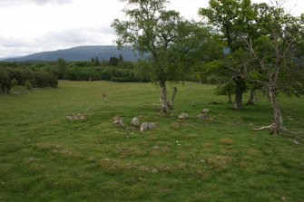 View of chambered cairn from NW (taken from roof of landrover).