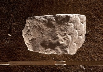 Detail of hogsback fragment.