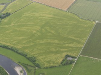 Oblique aerial view of the cropmarks of the souterrain, pits and possible sunken floored building, looking W.