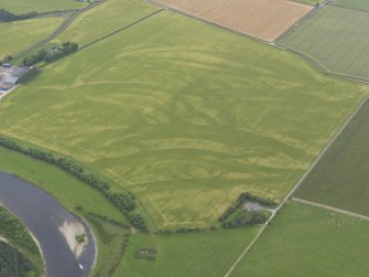 Oblique aerial view of the cropmarks of the souterrain, pits and possible sunken floored building, looking WSW.