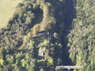 Oblique aerial view of Cadzow Castle, taken from the ESE.