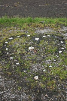 View of Tinker's Heart, Loch Fyne, Argyll