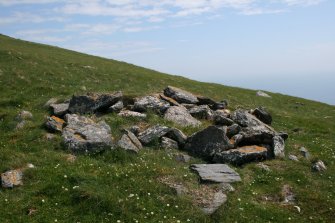 One of the peat stands on the slopes of Toa Rona, taken from the W