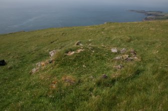 One of the peat stands on the slopes of Toa Rona, taken from the E.