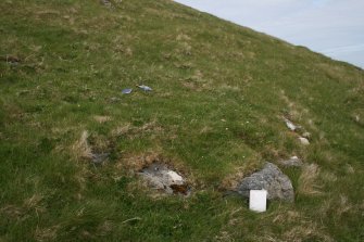 One of the peat stands on the slopes of Toa Rona, taken from the E.