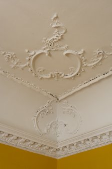 First floor. Drawing room. Detail of ceiling cornice and coving.