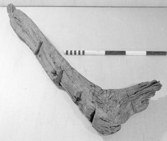 This oak frame timber has many similarities to Perth07. In view of the relatively close spatial and chronological contexts within which they were found, both may be parts of the same vessel. The seating for the keel, as with Perth07, is 90 mm wide, while a similar 30-mm limber-hole is present. If they are from the same hull then the limber-holes, which must have been located along the same side of the keel to permit a free run of water, provide a relative orientation. This suggests that the two frames may come from towards the opposite ends of the vessel. Scale 50 cm. (Cat No 88/A12563)