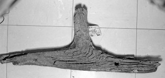 Reverse side of upright thole (Perth03). Overall length 76 cm. (Cat No 269/A05–0224)