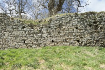Third in a series of views of the Teviotsdie curtain wall of Roxburgh castle showing putlog holes, from the SE