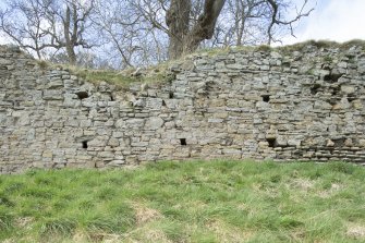 Fourth in a series of views of the Teviotside curtain wall of Roxburgh castle showing putlog holes, from the SE