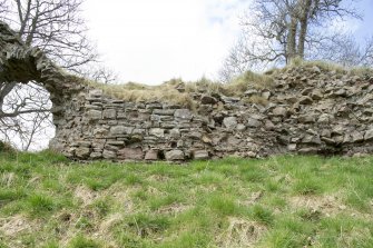 Twefth in a series of views of the Teviotside curtain wall of Roxburgh castle showing putlog holes and postern on the left, from the SE