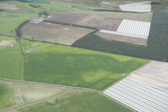 Oblique aerial view of the cropmarks of the rig and enclosure at Rossie Drain, looking to the NNE.
