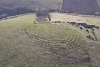 Oblique aerial view of Corsehope Rings, looking SE.