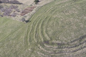 Oblique aerial view of Corsehope Rings, looking SSW.