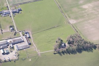 Oblique aerial view of Redden, looking SSE.