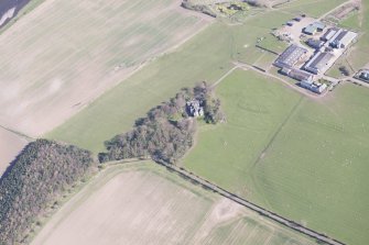 Oblique aerial view of Redden, looking NE.