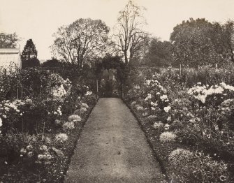 'Old garden at Pinkie burn'.

