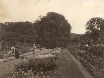 Page 14v View of garden.
PHOTOGRAPH ALBUM NO 248: Douglas Support