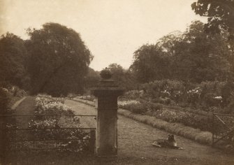 Page 15v View of garden gate.
PHOTOGRAPH ALBUM NO 248: Douglas Support