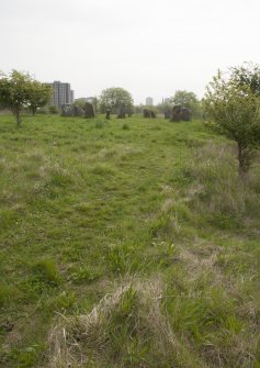 Low level long view taken on the approach to the Sighthill Stone Circle from the west