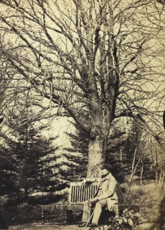 View of tree and seated man.
Titled: 'Tree at Ellon Castle, the old Laird.'
PHOTOGRAPH ALBUM NO 4: INNES OF COWIE ALBUM