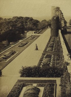 View of terrace showing planting.
Titled: 'Terrace, Ellon Castle'.
PHOTOGRAPH ALBUM NO 4: INNES OF COWIE ALBUM