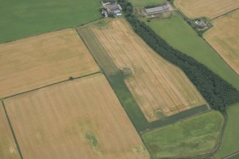 Oblique aerial view of the cropmarks of the fort at Gars Hill, looking NW.