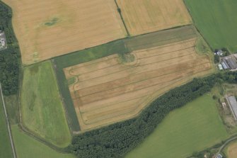 Oblique aerial view of the cropmarks of the fort at Gars Hill, looking SE.