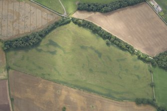 Oblique aerial view of the cropmarks of the field boundary at Holywood, looking W.