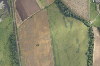 Oblique aerial view of the cropmarks of the field boundary at Holywood, looking SE.