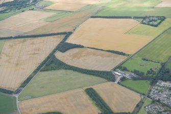 General oblique aerial view of the cropmarks at Balblair, looking WSW.